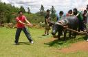 Carabao