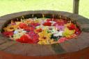 Well of Gumamelas