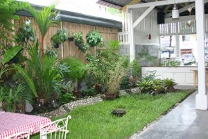 Kiko's Garden, Daytime