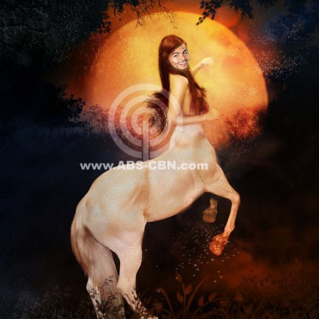 Pacquiao Funny Picture - Diosa Horse