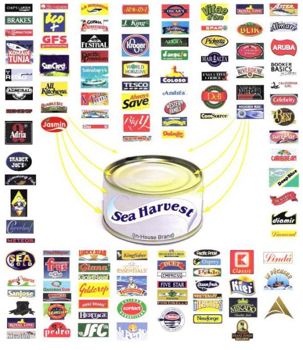 Alliance Tuna's products